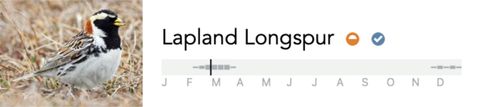 Lapland Longspur bar chart for Laramie