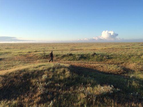 Grassland with rolling hills