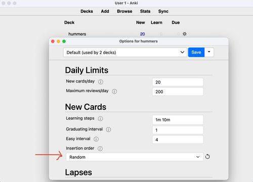 Anki Deck Options Screenshot
