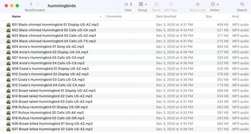 File List Screenshot